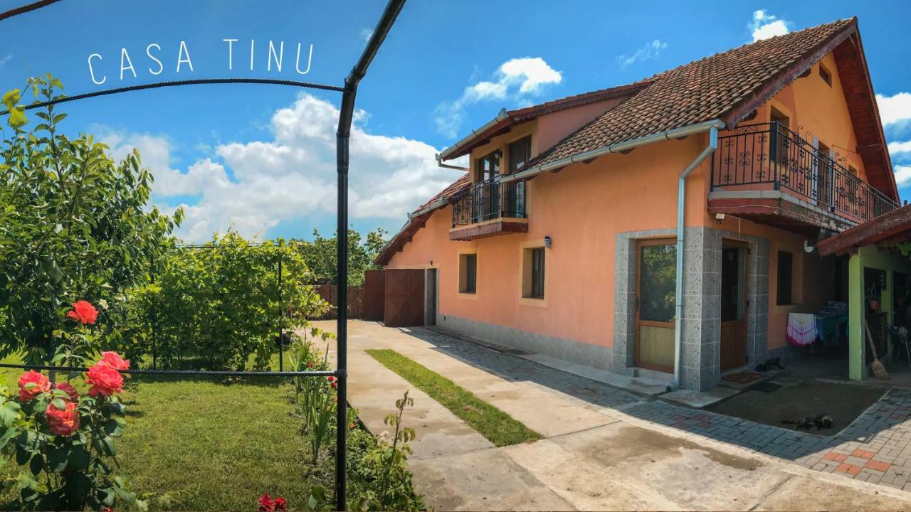 Гостевой дом Casa Tinu Cenad Экстерьер фото